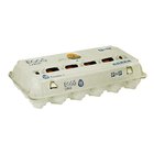 PnP Large Eggs 18 Pack